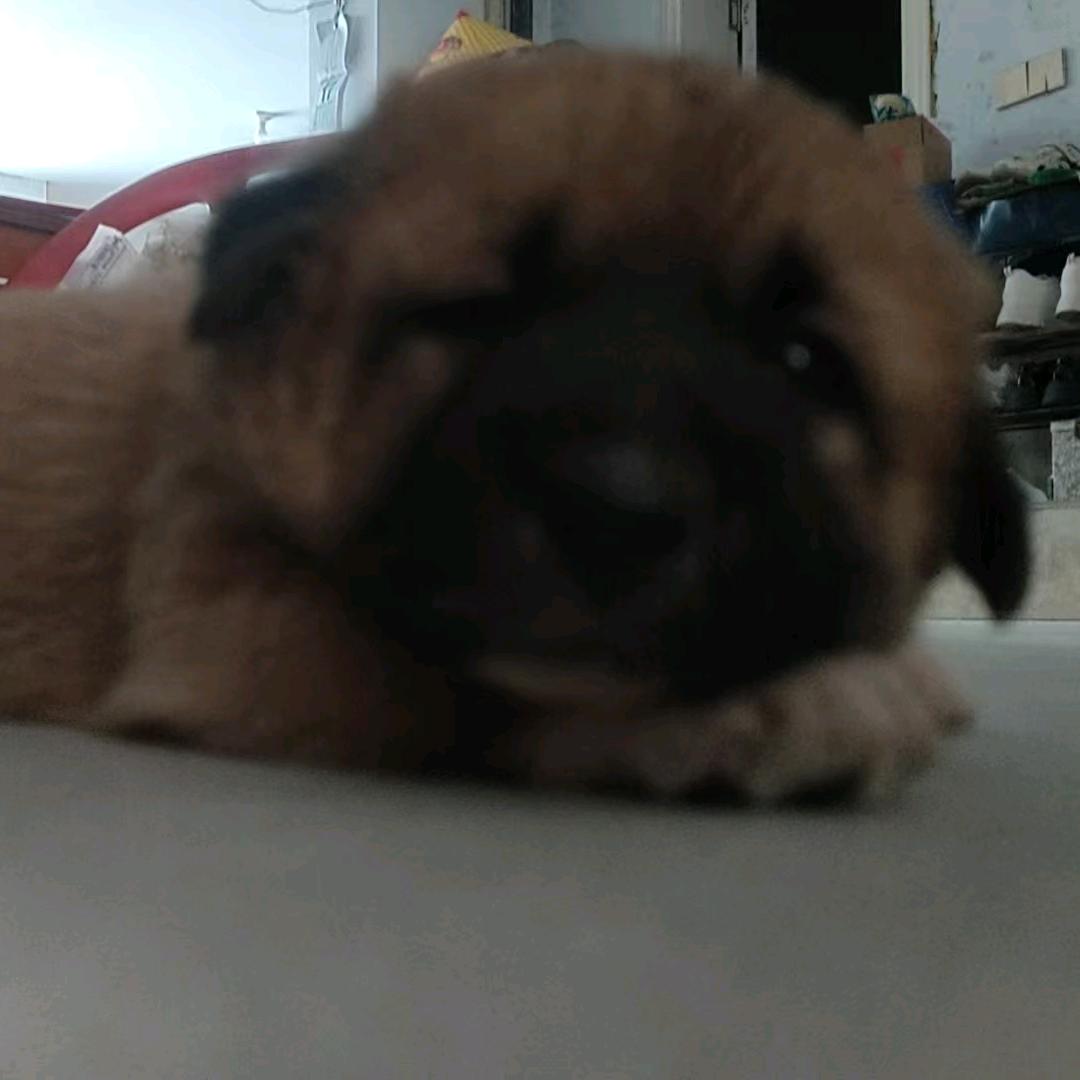 一一