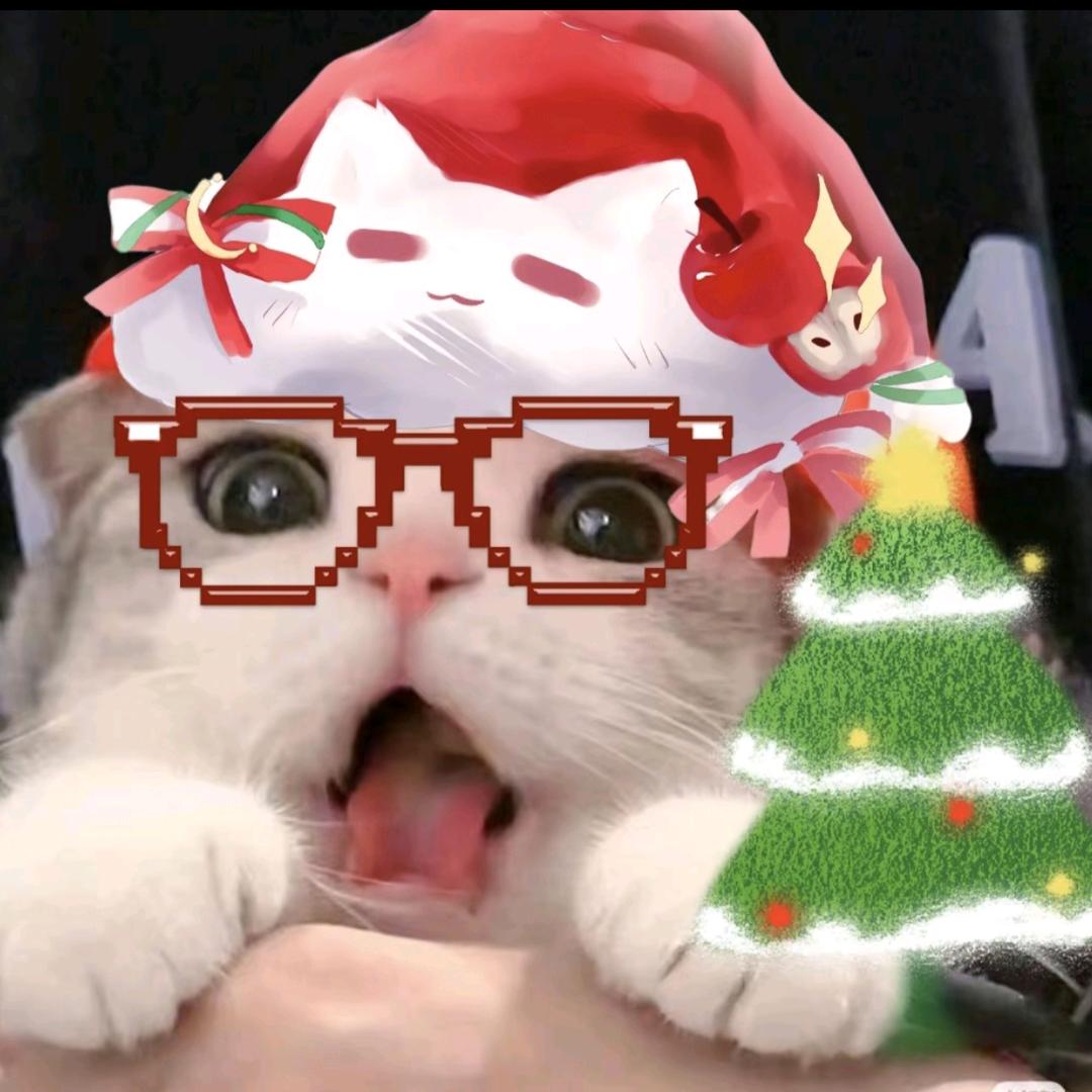 花花（车头版）