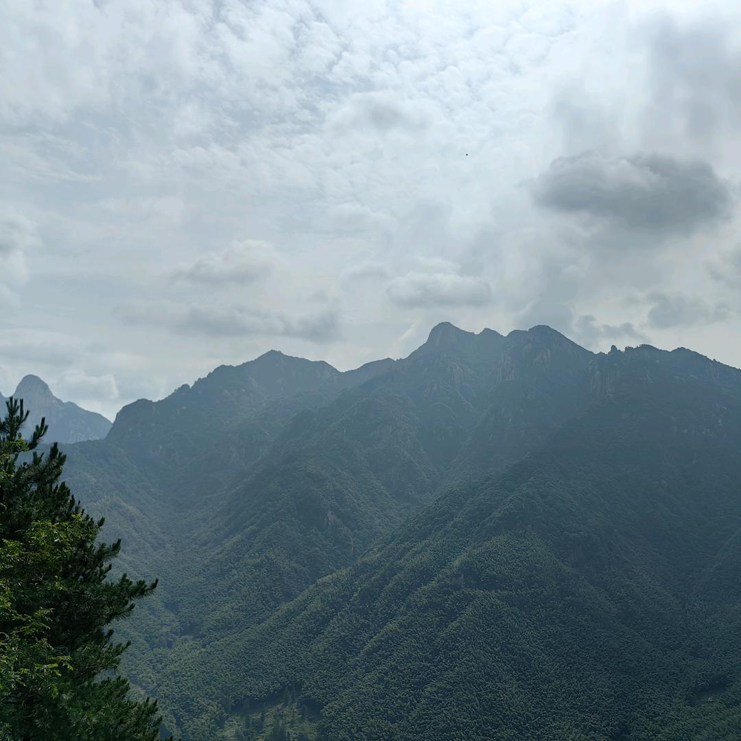 没有光