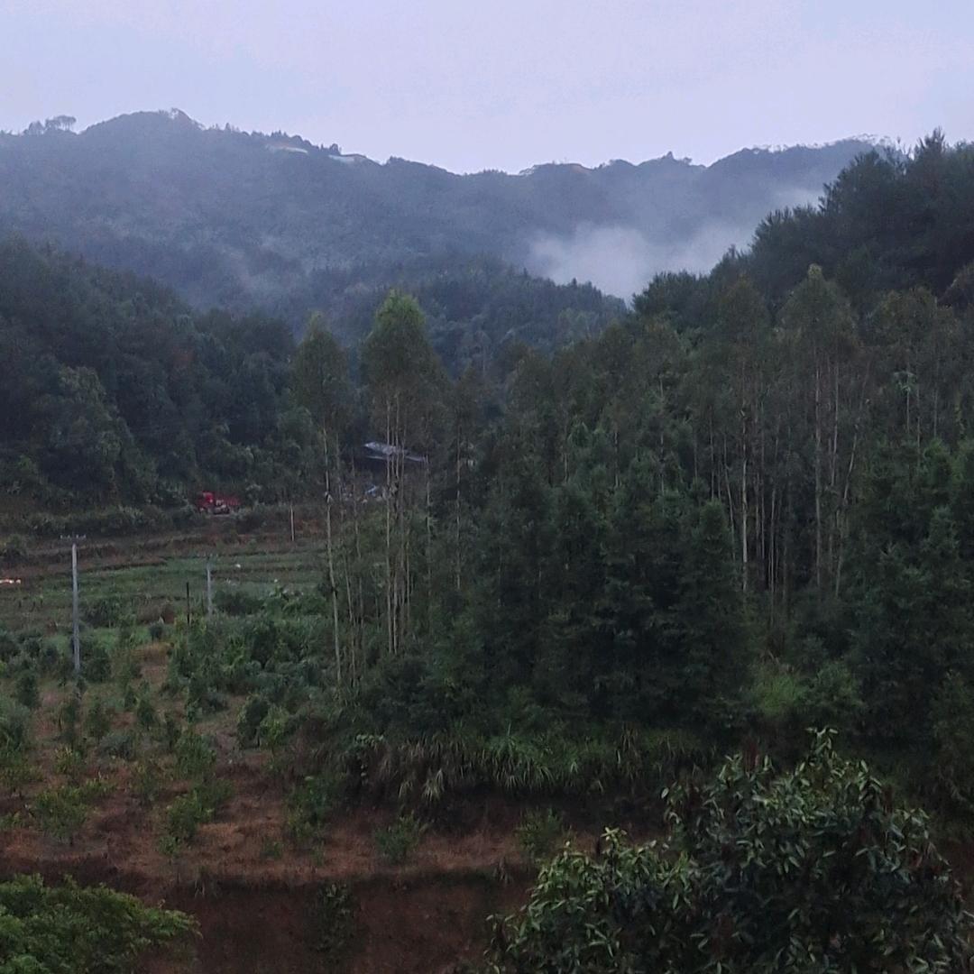 很高兴认识了你