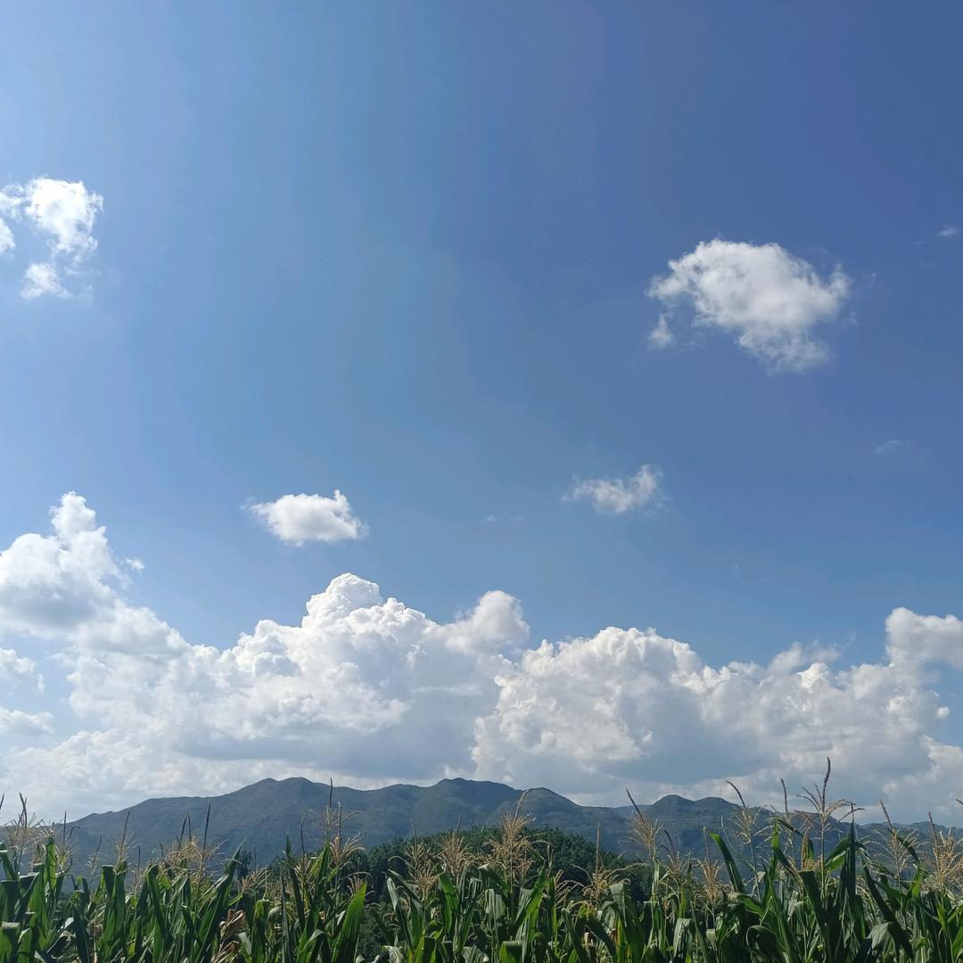十年