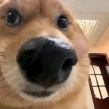 锐角