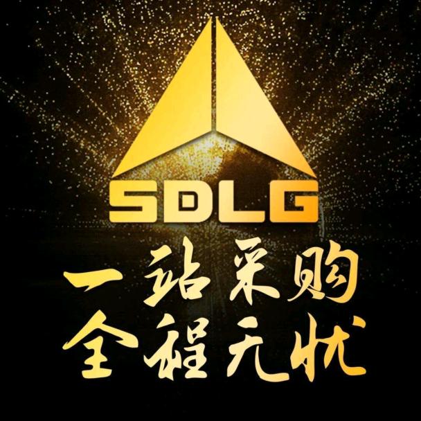 山东临工 (河南 李志全)