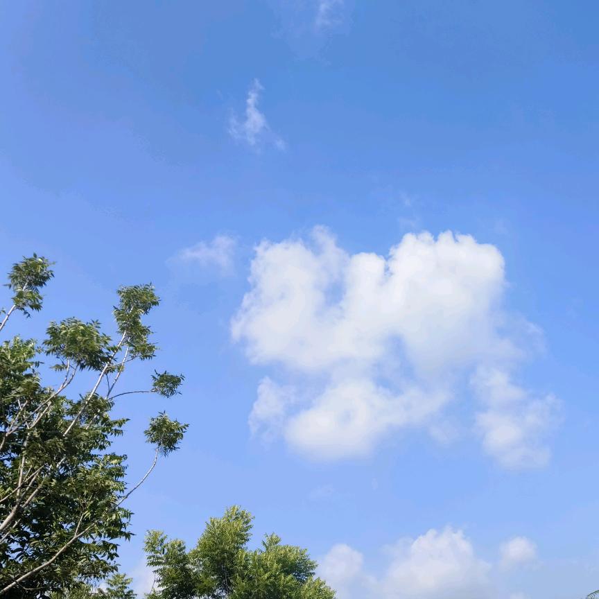 @林晓
