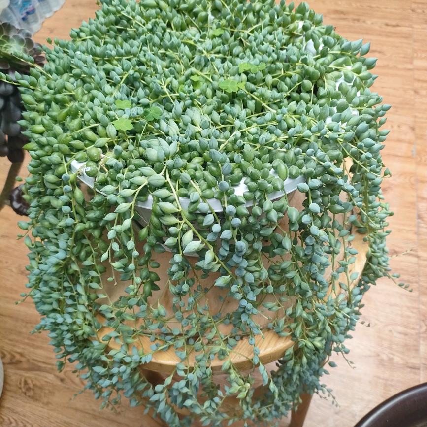 笑敬过往