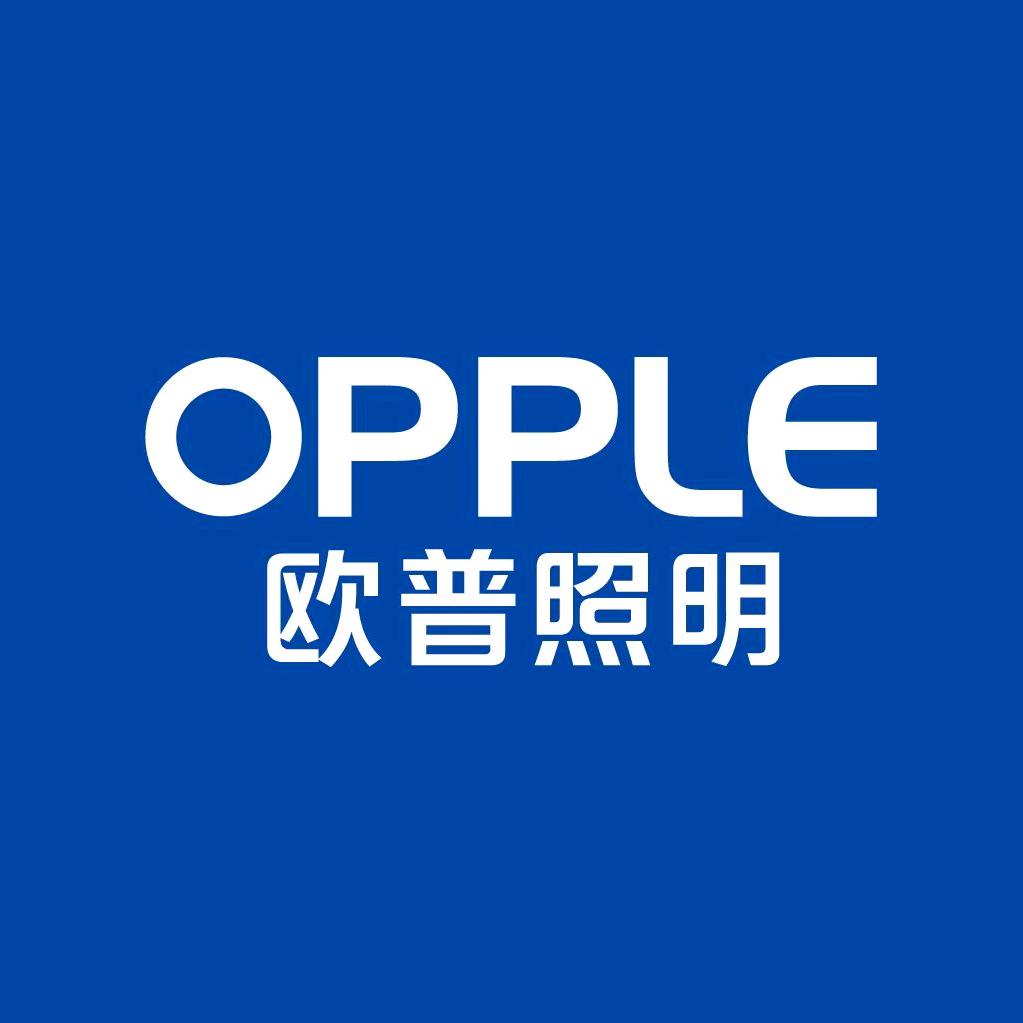 欧普照明(洪源市场店)