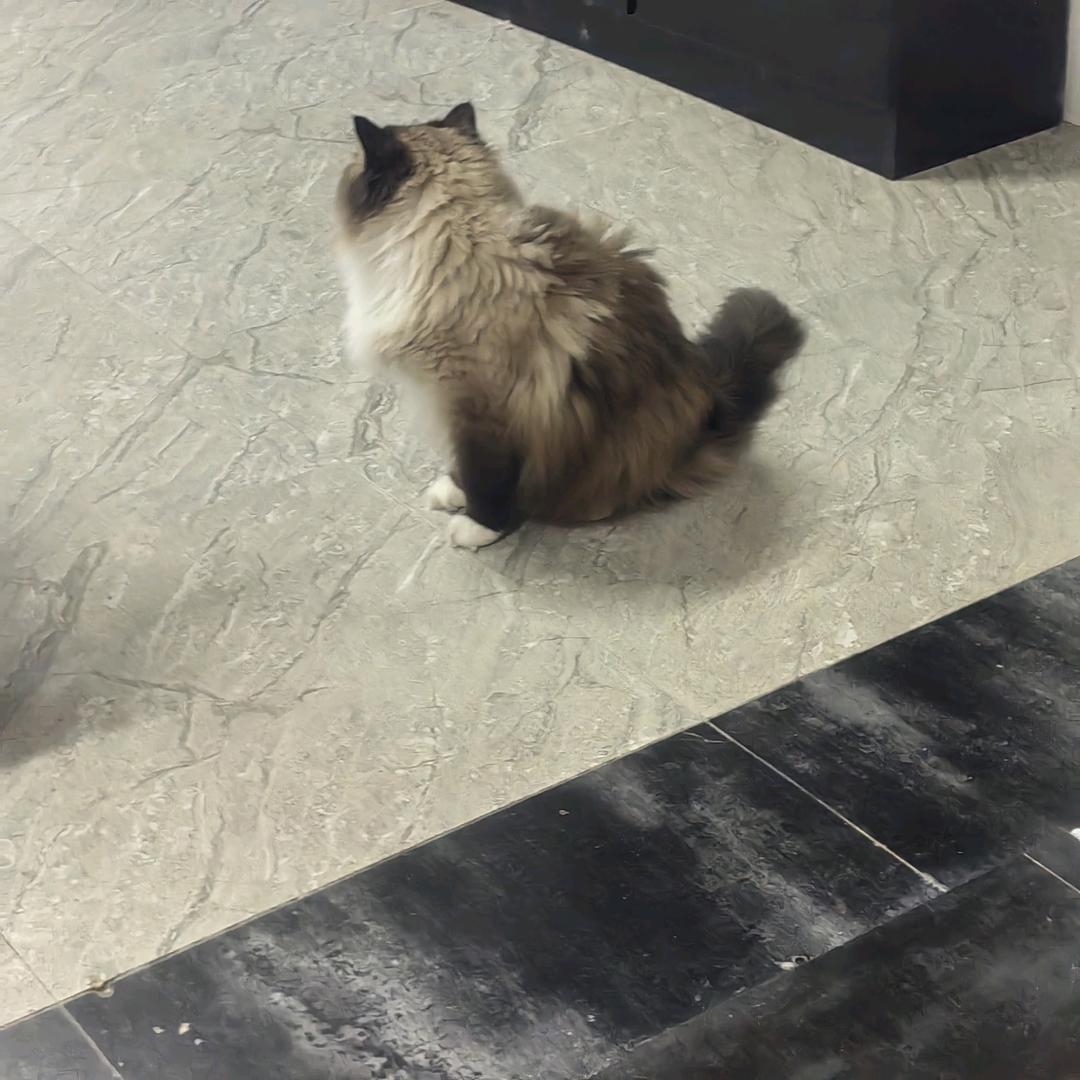 平安是福