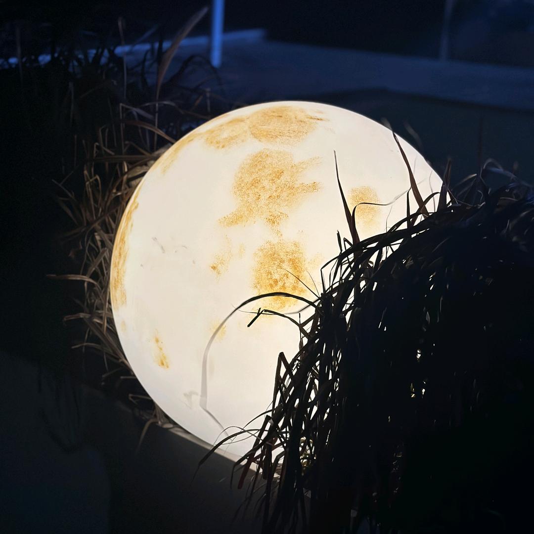 李小沐