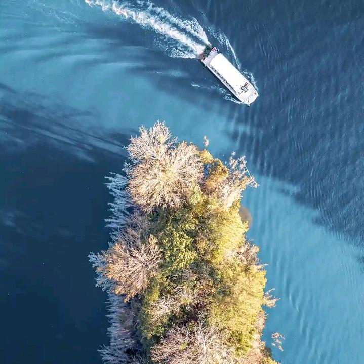 清淡