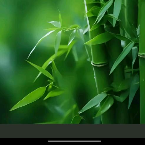 晨光文具批发，承接天津室内水电维修