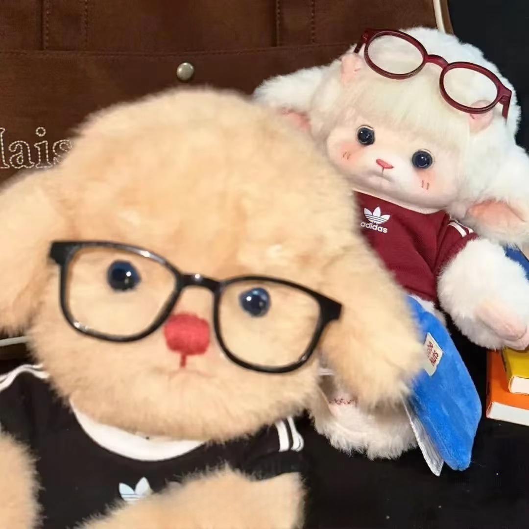 一介书生📚