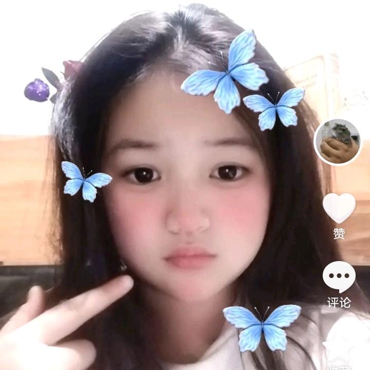 🐭 123