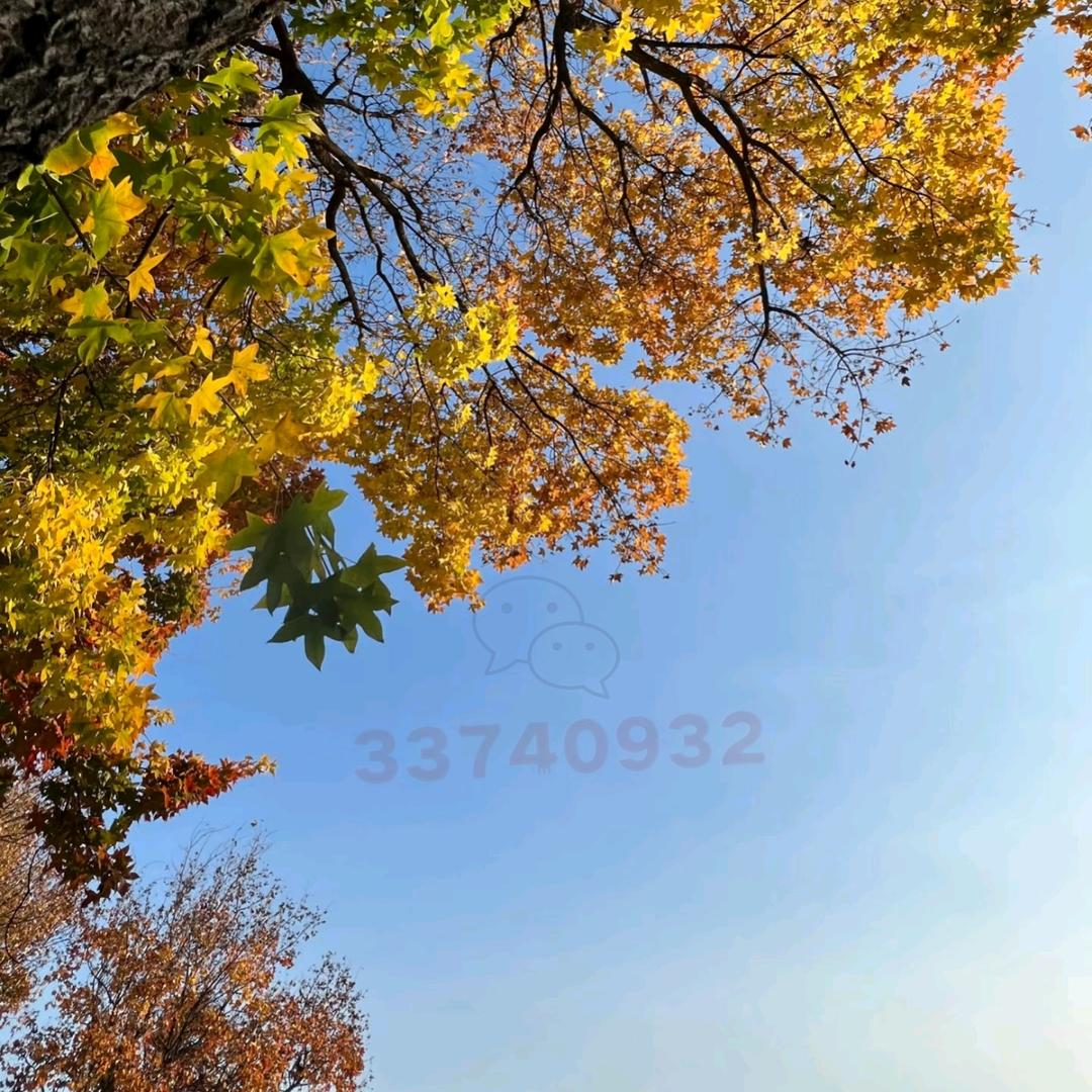 何以解忧，唯有暴富