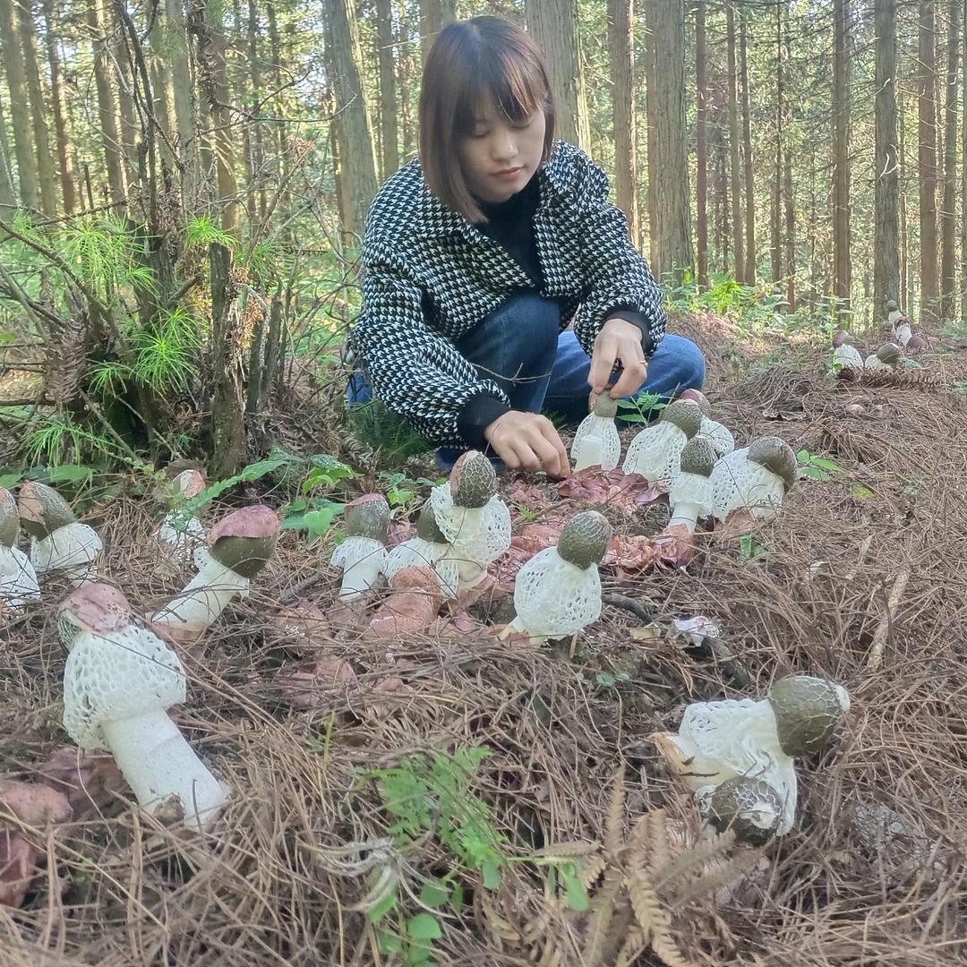 敏敏