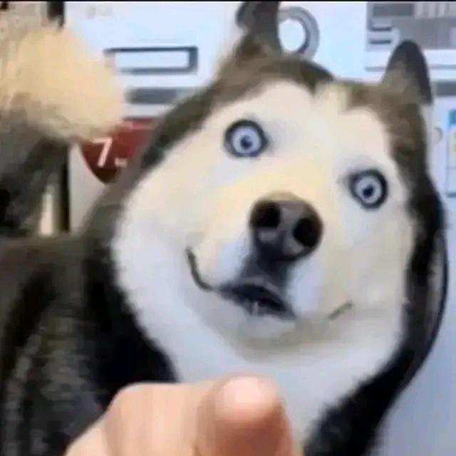 晗晗