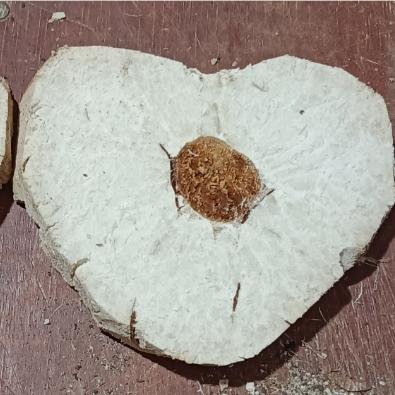 靖州金苓茯苓农产精选店