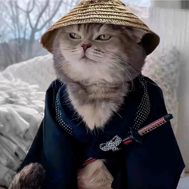 忍者神猫