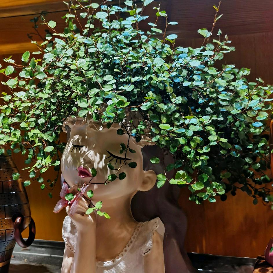 刘菲菲