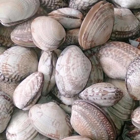 🕊ღ᭄ꦿ꯭默ঞ离ꦿ᭄🕊