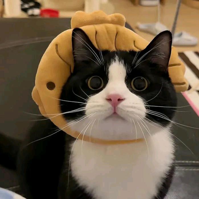 她说她慢热