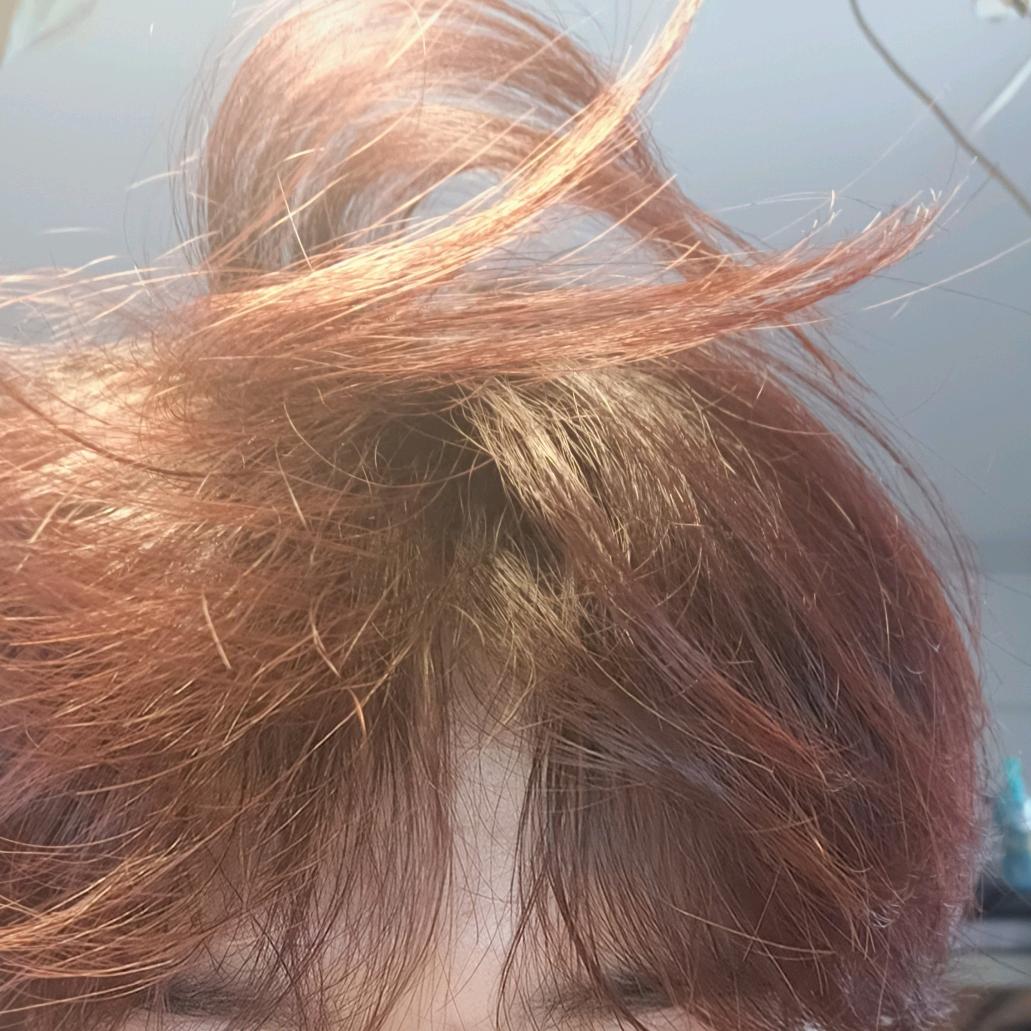 一条红色石蕊试纸