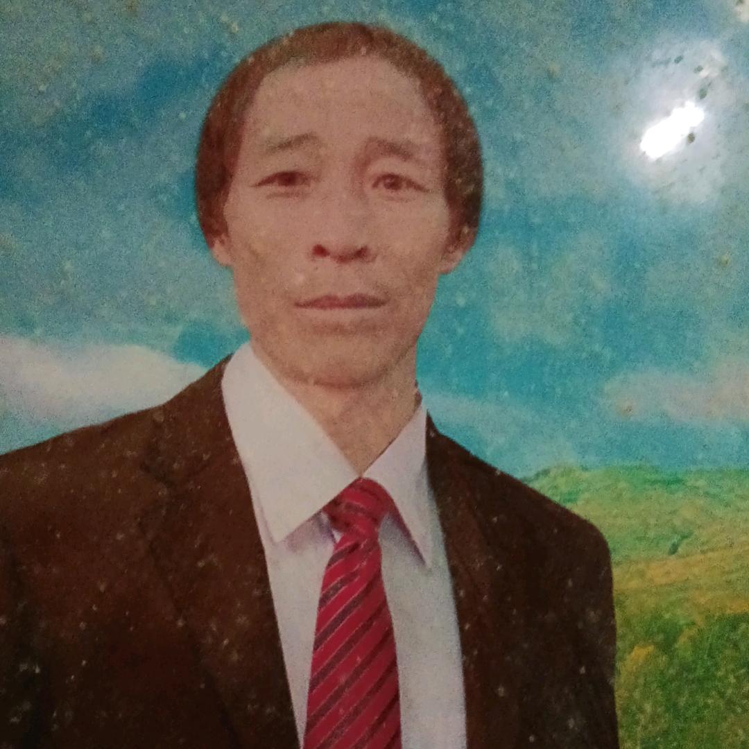 落叶只有几个小时