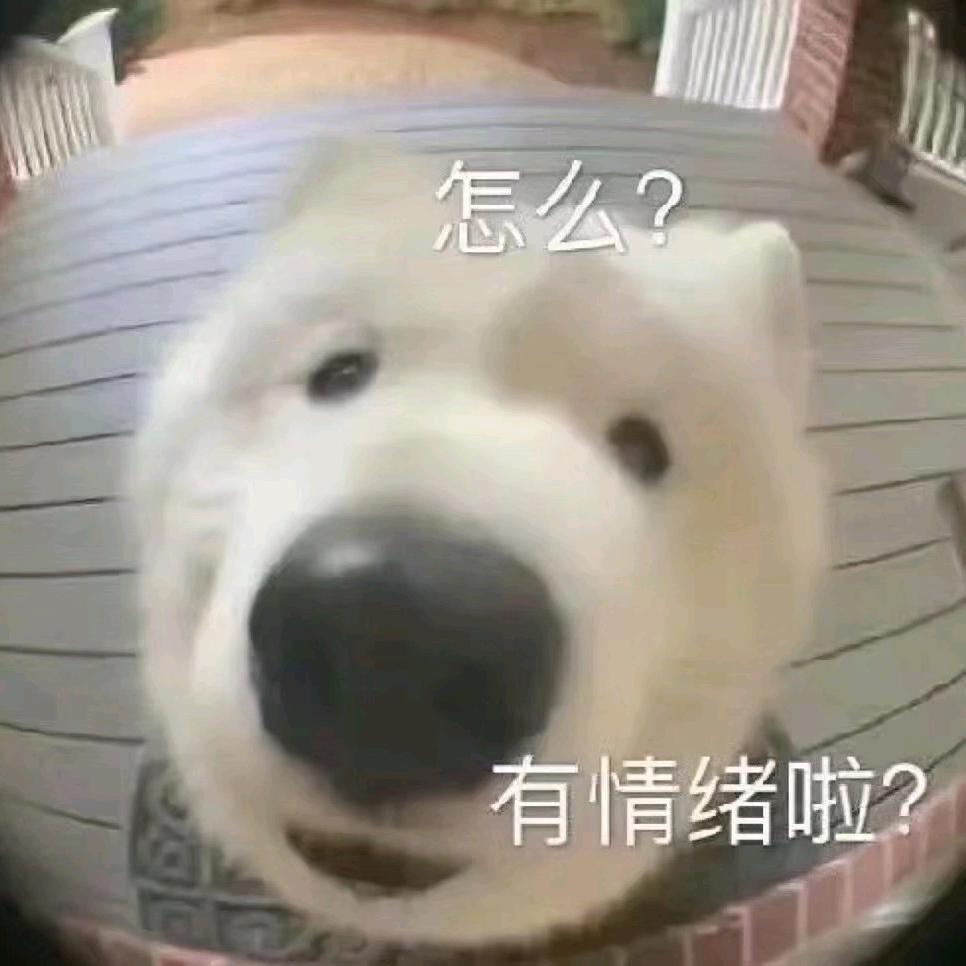 魚👑