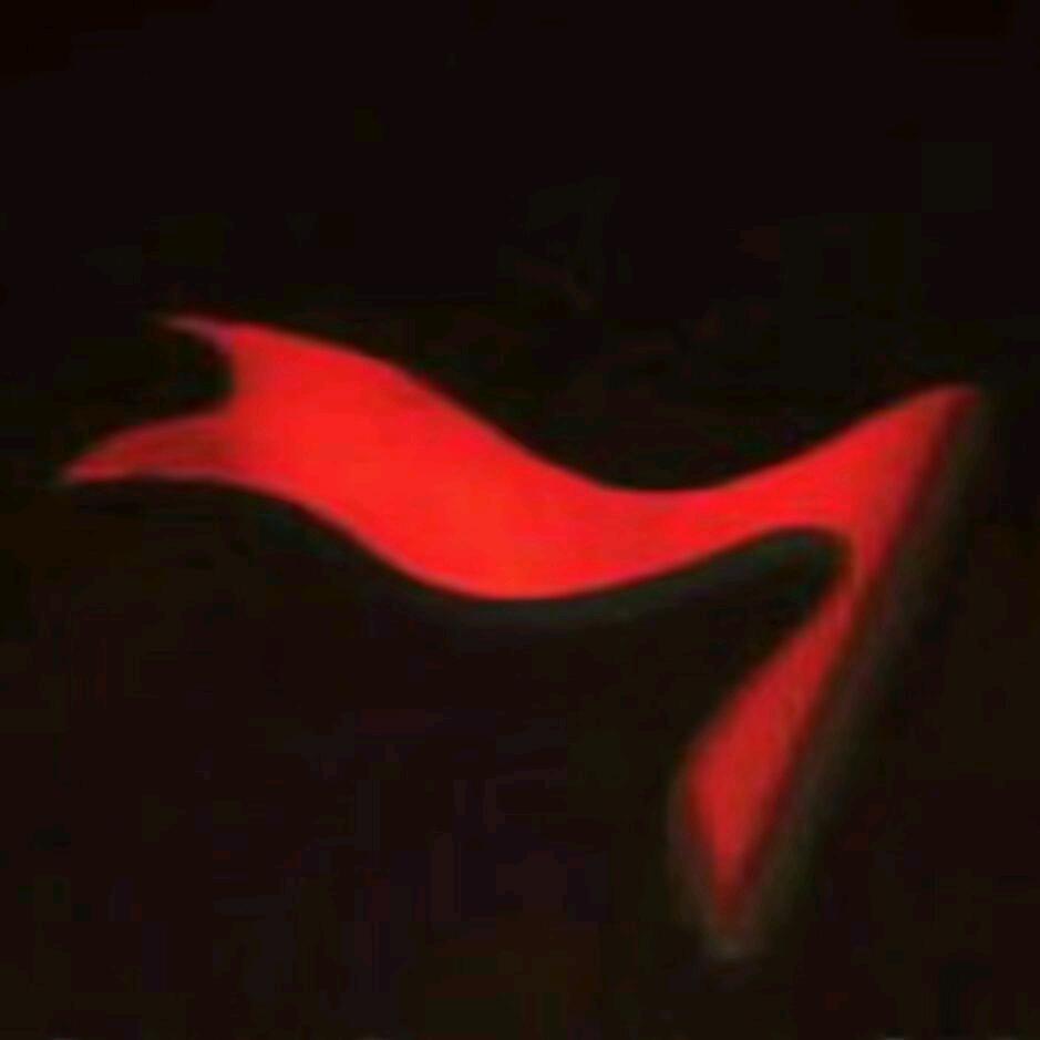 A专业承接室内外装饰……