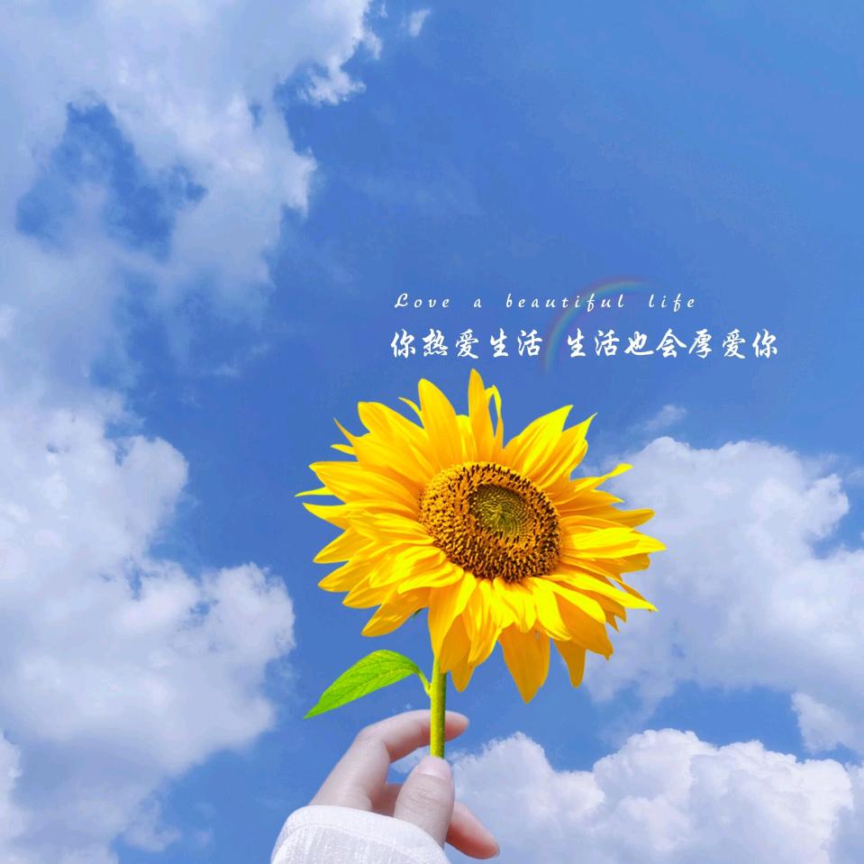 💕悦己💕