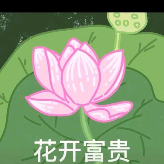 无敌暴龙