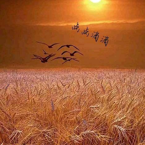 点点滴滴🍂🍃