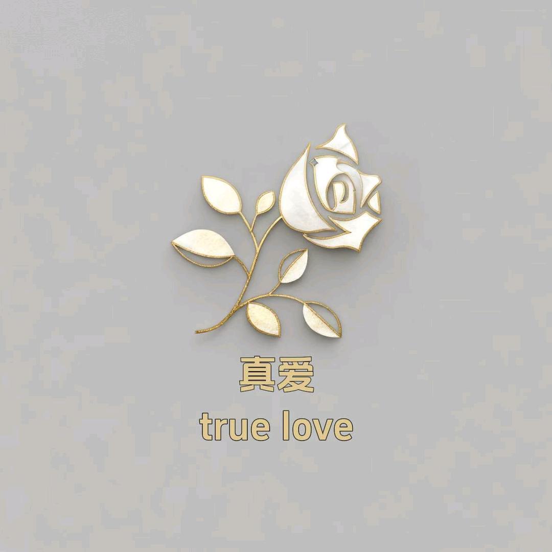 苍台真爱婚纱摄影