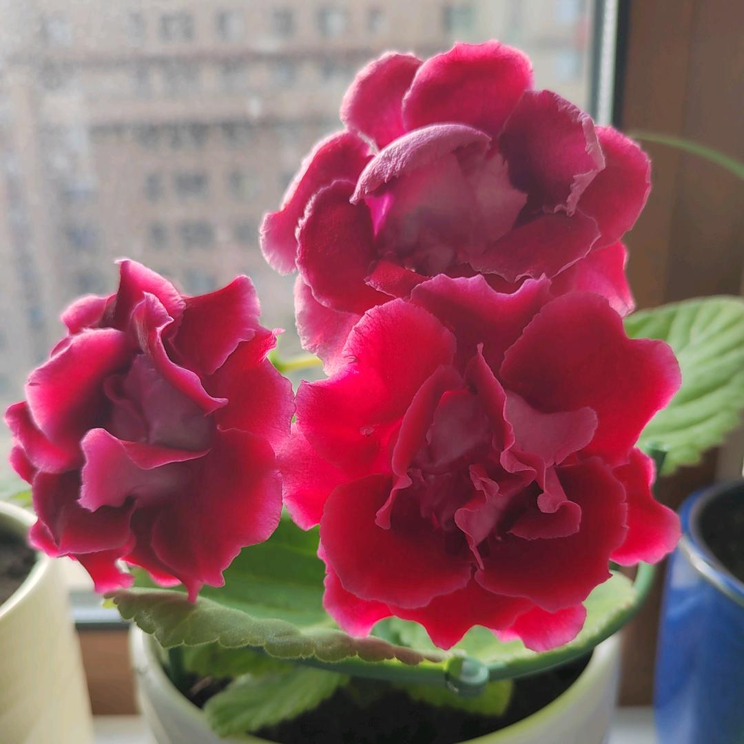 一缕阳光