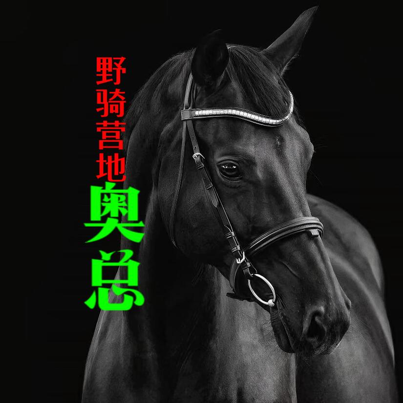 乌鲁木齐南山野骑营地