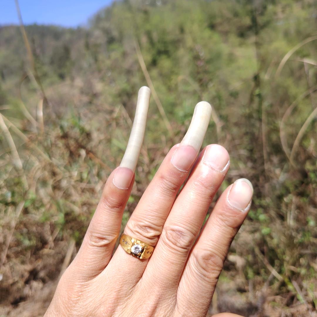 贵州放羊哥🌈
