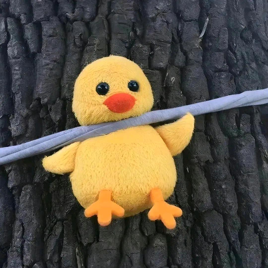躲仔