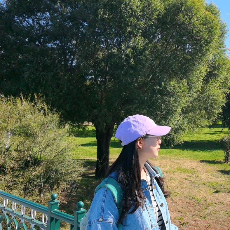 「我至雪山巅- 、」