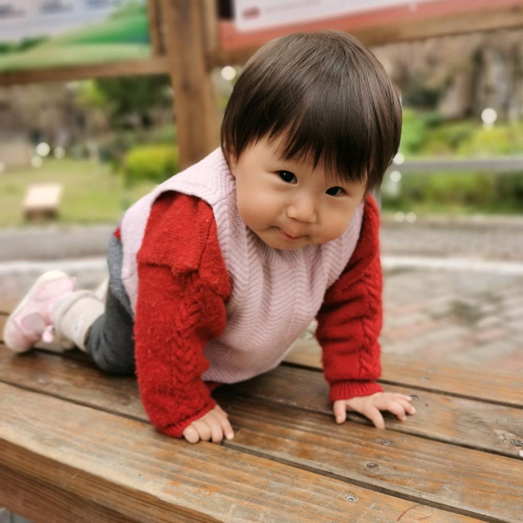 家有叁宝