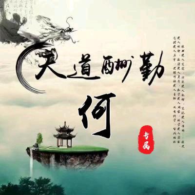 向来缘浅 奈何情深