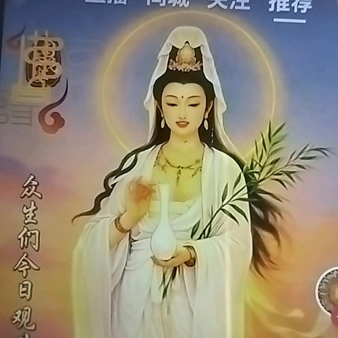 菩和