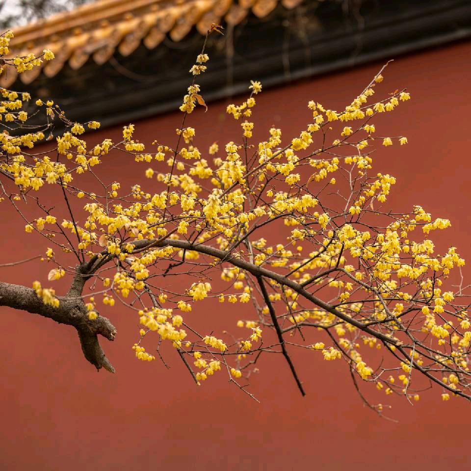 知一学习铺