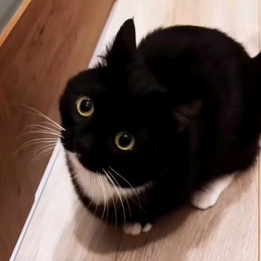 灼
