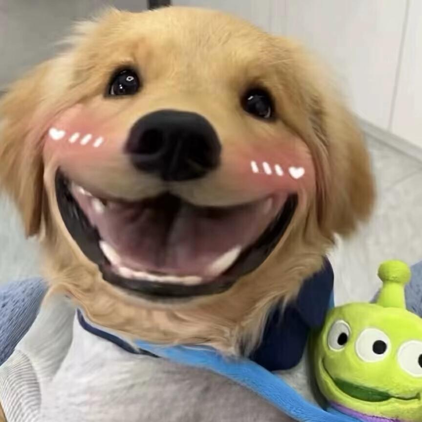 𝙄𝘿          .