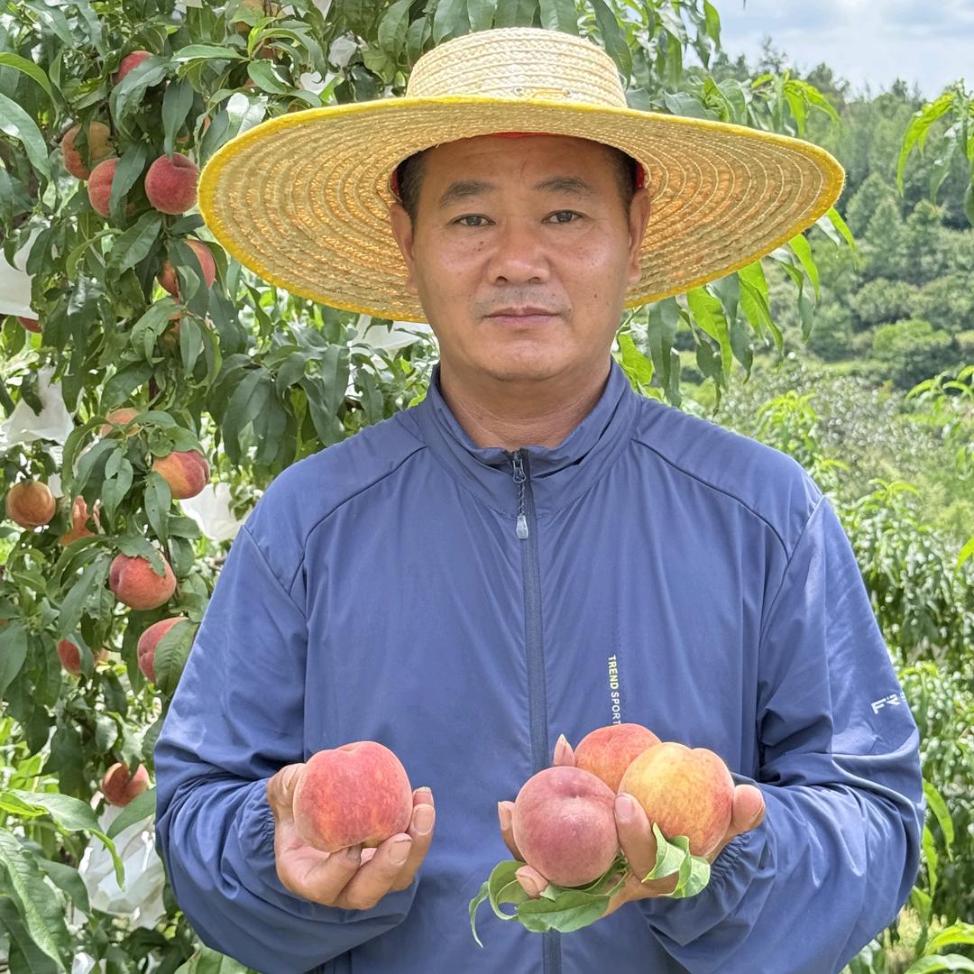 乡村大伟