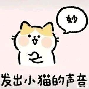 晓晓did