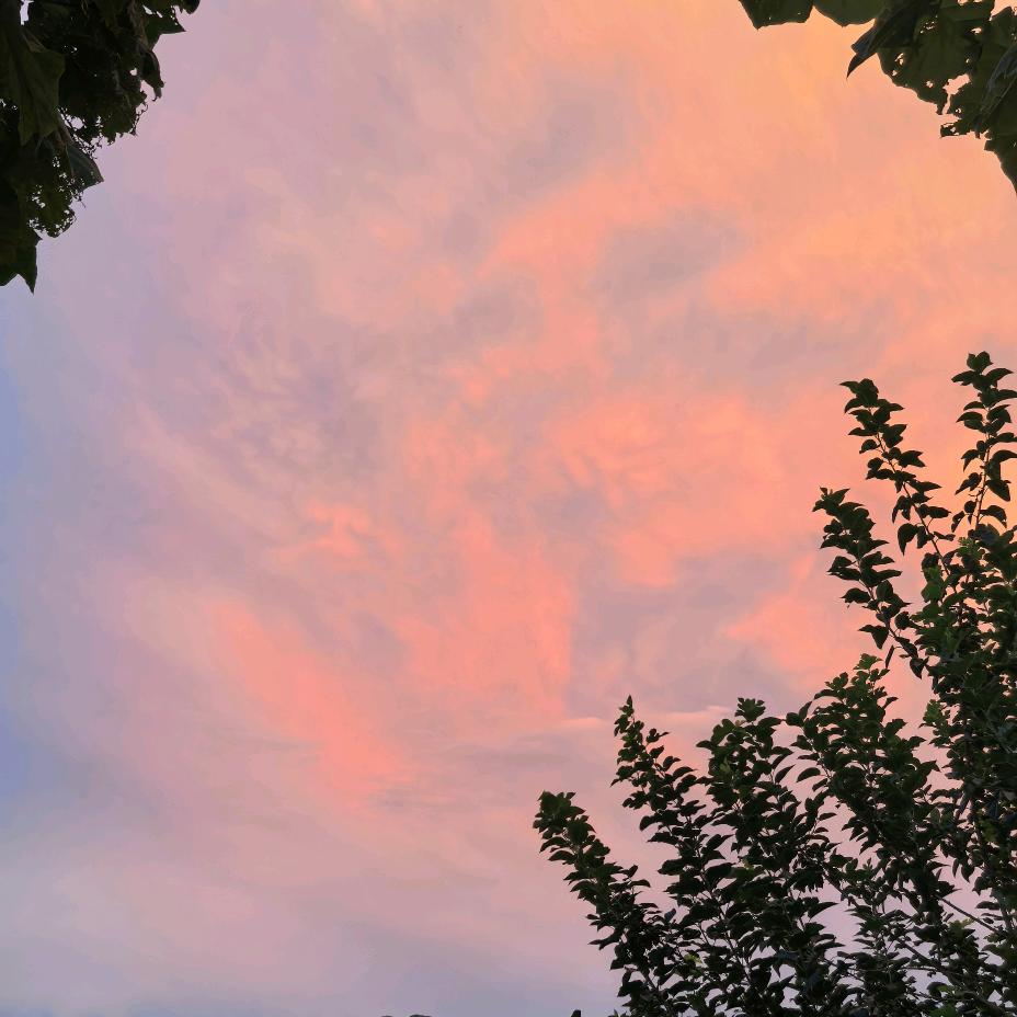🌹浅时光🌹⁵²ᴴᴺ