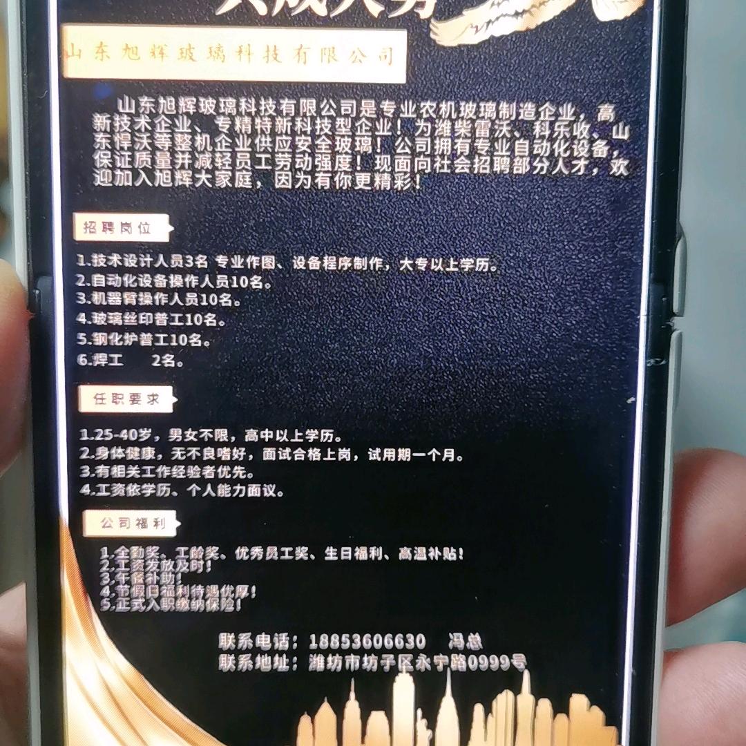 旭辉玻璃招聘号