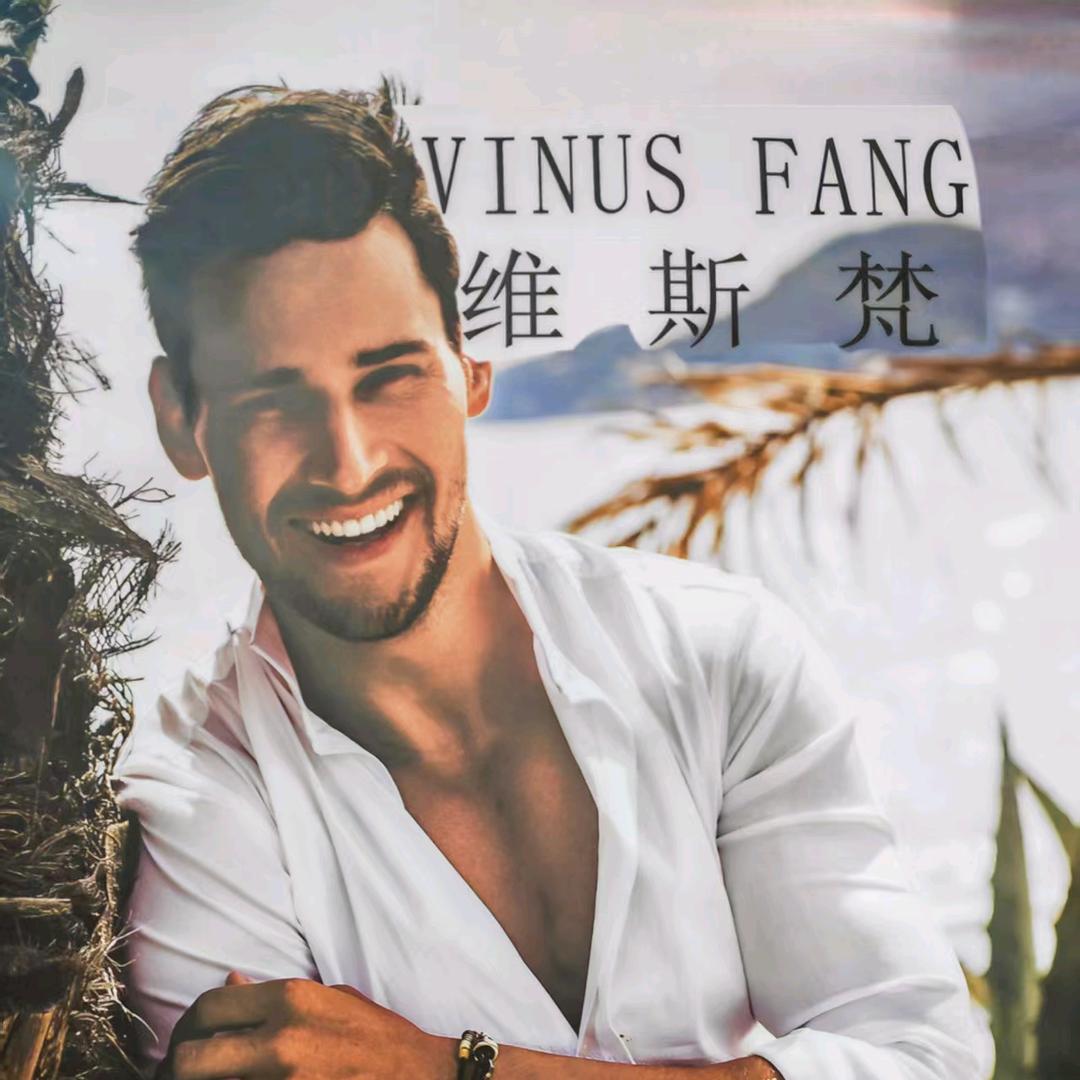 固始男装维斯梵