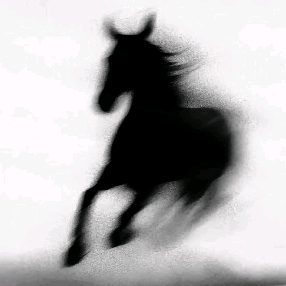 轩啊涛