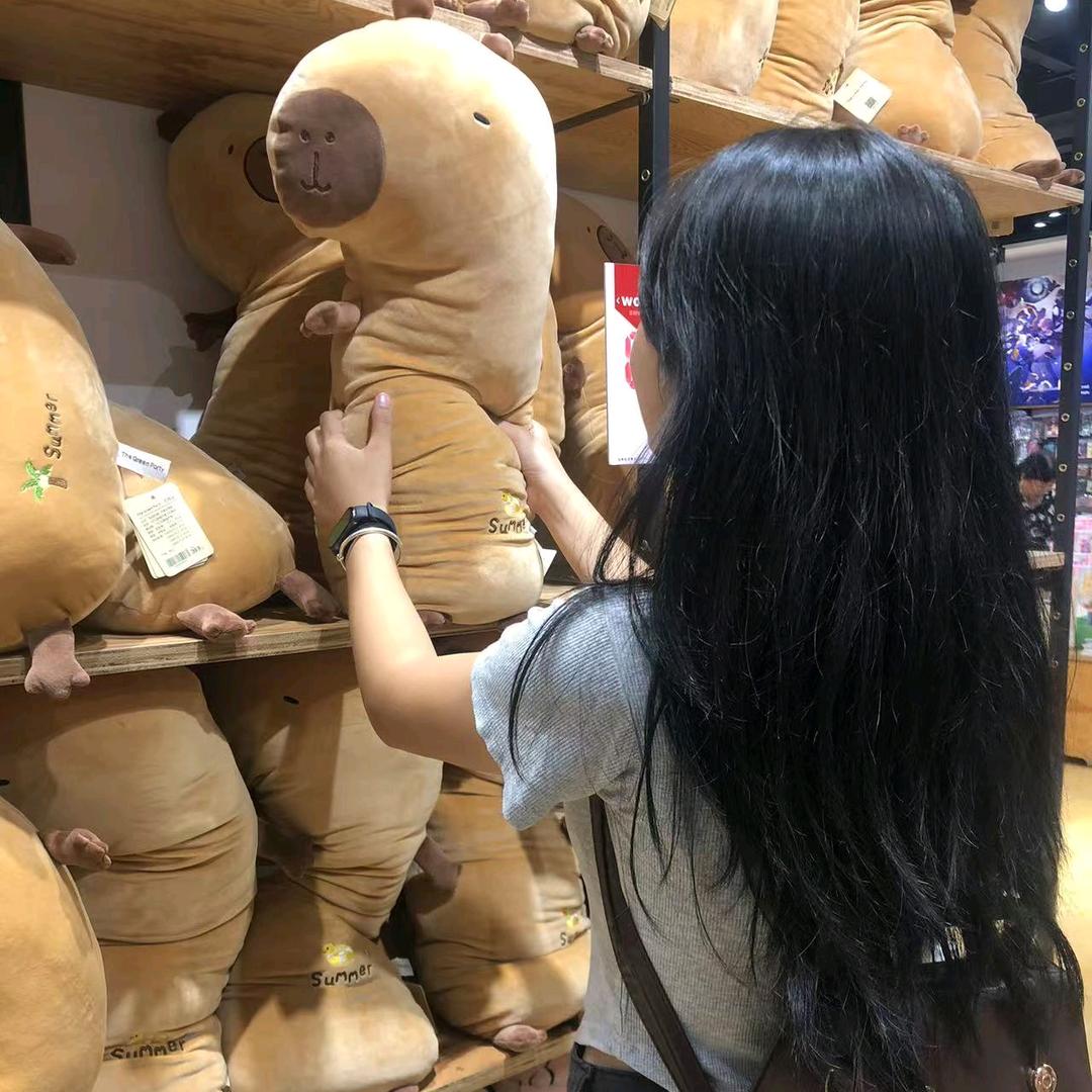 一只眠羊.💤